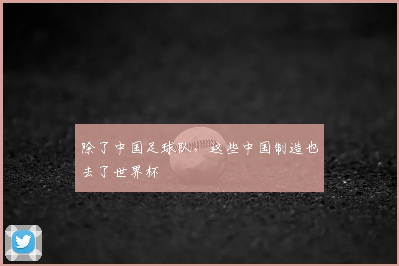 除了中国足球队，这些中国制造也去了世界杯